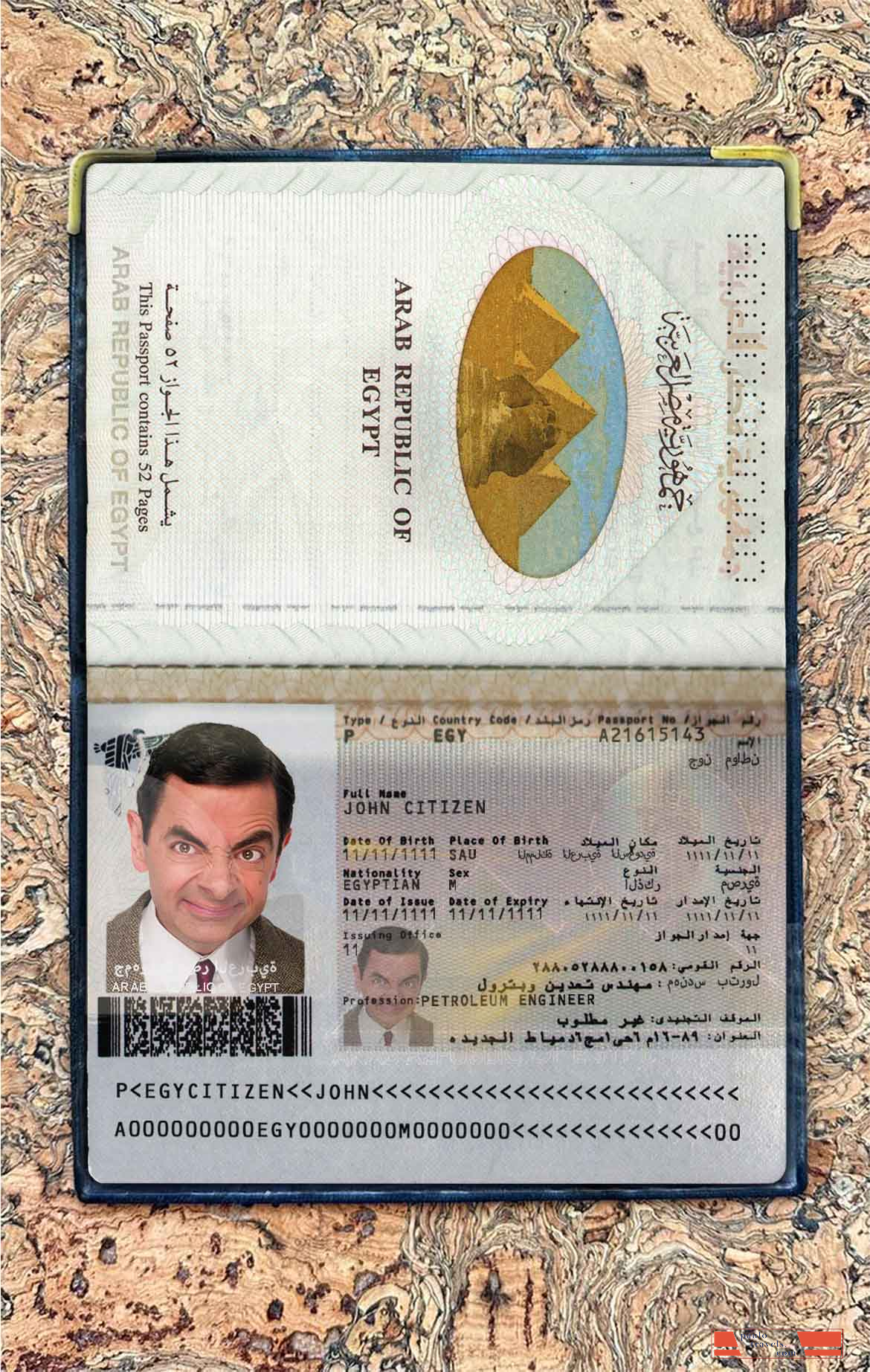Egypt passport photo look PSD template